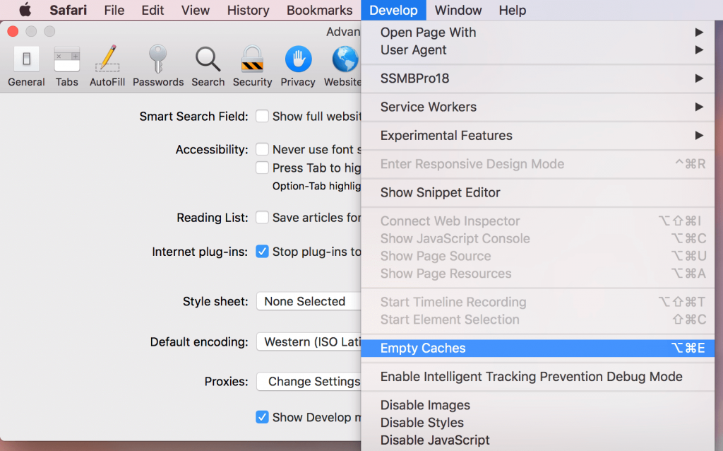 Cleaning Cache Files of the Browser in Safari